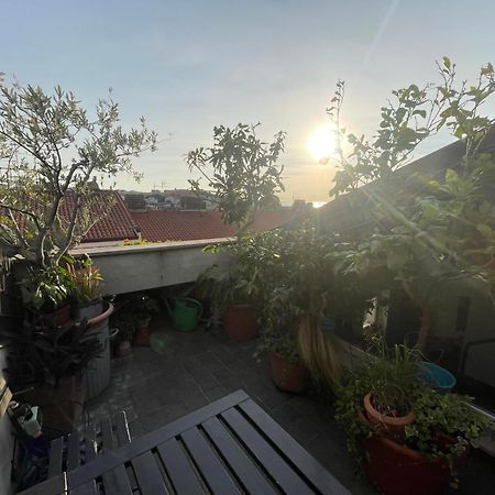 Piccola Accogliente E Luminosa Camera In Appartamento Condiviso Con Bagno Privato E Terrazza Vista Mare Триест Экстерьер фото