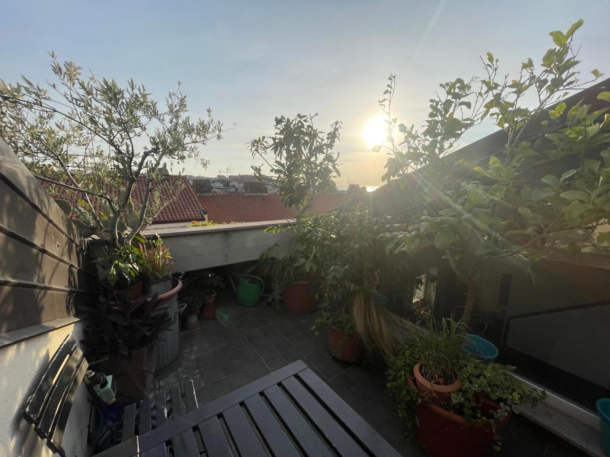 Piccola Accogliente E Luminosa Camera In Appartamento Condiviso Con Bagno Privato E Terrazza Vista Mare Триест Экстерьер фото